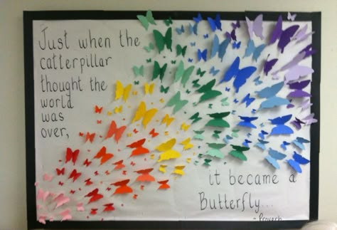 My butterfly bulletin board at the nursing home. Our theme is "Spread Your Wings" What If I Fall What If You Fly Bulletin Board, Learning Gives You Wings To Fly Bulletin Board, June Bulletin Board Ideas Nursing Home, Easter Themed Bulletin Boards, Butterfly Themed Bulletin Boards, Bulletin Board Ideas For Nursing Home, Bulletin Board Ideas Nursing, Butterfly Bulletin Boards, Spring Themed Bulletin Boards