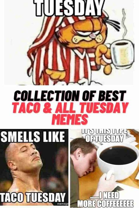 Good Morning Tuesday Funny Hilarious, Its Only Tuesday Humor, Taco Tuesday Funny Hilarious, Happy Tuesday Funny Hilarious, Tuesday Morning Memes Funny, Funny Tuesday Memes Humor, Funny Tuesday Quotes, Tuesday Humor Mornings, Tuesday Meme Humor