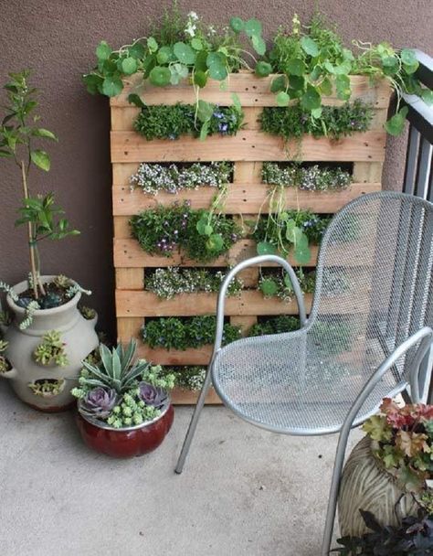 How to Spruce Your Balcony for Summer Apartment Patio Gardens, Balcony Apartment, Jardim Diy, Vertical Herb Garden, Vertical Gardens, Apartment Patio, Pallet Garden, Pallets Garden, Small Space Gardening