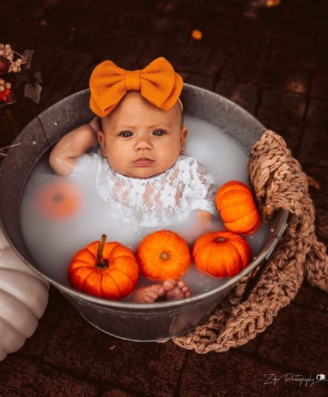 This Pin was discovered by Kristy Rutz. Discover (and save!) your own Pins on Pinterest. Fall Baby Photos, Baby Milk Bath, Milk Baths, Fall Baby Pictures, Photo Bb, Milk Bath Photography, Photo Halloween, Baby Milestones Pictures, Foto Newborn