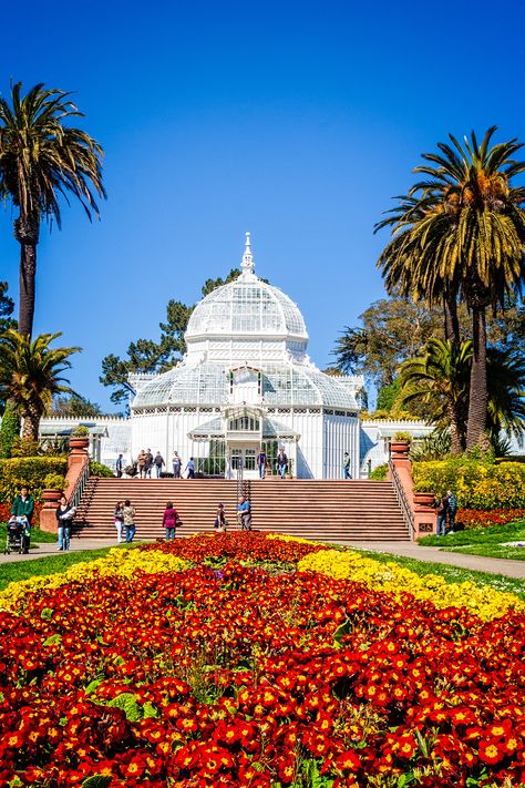 San Francisco Park, Greenhouse Orangery, Golden Gate Park Aesthetic, San Francisco Activities, Conservatory Of Flowers San Francisco, Sunset San Francisco, San Francisco Conservatory Of Flowers, San Francisco Attractions, Conservatory Of Flowers