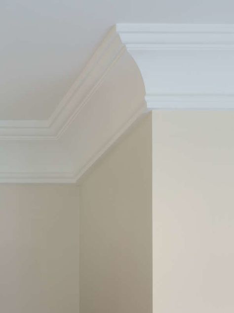 Cove Molding Types Of Crown Molding, Cove Crown Molding, Crown Molding Styles, Cove Moulding, Crown Nails, Ceiling Crown Molding, Baseboard Styles, Molding Ceiling, Cove Molding