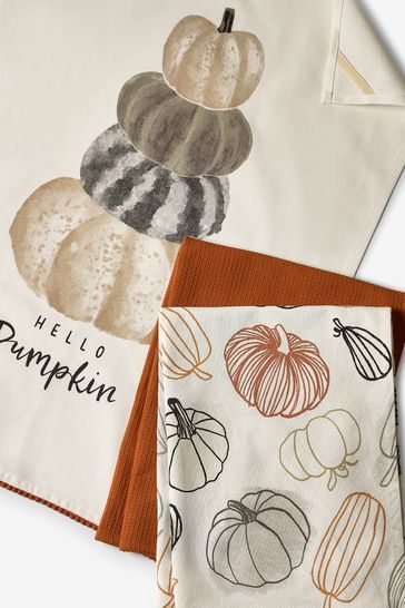 Set of 3 Hello Pumpkin Kitchen Tea Towels Diy Fall Dish Towels, Cricut Tea Towels Thanksgiving, Kitchen Towels Thanksgiving, Fall Dish Towels, Fall Tea Towels, Autumn Tea, Rustic Fall Decor, Kitchen Tea, Towels Design