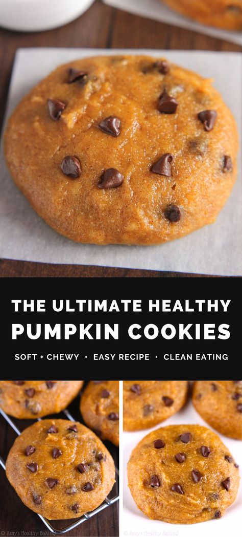 The ULTIMATE Healthy Pumpkin Chocolate Chip Cookies – soft, chewy & PERFECT!! These clean eating cookies taste AMAZING, not “healthy” at all! You'll never need another pumpkin cookie recipe again! (Naturally dairy free, egg free & made with no refined sugar!) ♡ Best healthy pumpkin cookies recipe. Easy pumpkin chocolate chip cookies vegan. Healthy pumpkin cookies low calorie. Pumpkin chocolate chip cookies no egg. Healthy pumpkin cookies clean eating. Soft pumpkin chocolate chip cookies. Pumpkin Protein Cookies Low Carb, Pumpkin Cookies Low Calorie, Clean Pumpkin Desserts, Simple Pumpkin Recipes Healthy, Low Calorie Pumpkin Chocolate Chip Cookies, Healthy Soft Pumpkin Cookies, Pumpkin Chocolate Chip Energy Balls, Clean Eating Chocolate Chip Cookies, Vegan Pumpkin Cookies Healthy