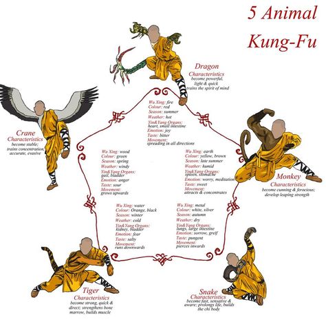 Reference for 5 Animal Kung-Fu -100% followback at 'Real Martial Arts'. Need To Learn This. -K Simmons Trening Sztuk Walki, Kung Fu Martial Arts, Shaolin Kung Fu, Chi Kung, Tai Chi Chuan, Pencak Silat, Martial Arts Techniques, Martial Arts Styles, Ju Jitsu