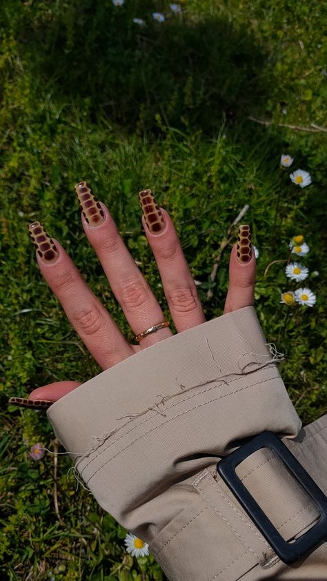 Grey Crocodile Nails, Almond Nails Croc Print, Blooming Gel Croc Nails, Chrome Crocodile Nails, Short Crocodile Nails, Croc Skin Nails, Brown Crocodile Nails, Brown Croc Nails, Crocodile Nail Design