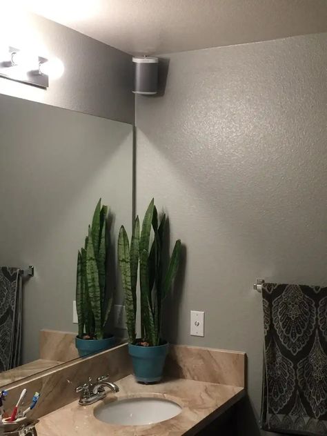 Sonos in bathroom - maybe put above a door so more air? Sonos Setup, Speaker Wall Mounts, Sonos Speakers, Audio Room, Throne Room, My Bathroom, Play 1, In Bathroom, Cool Tech