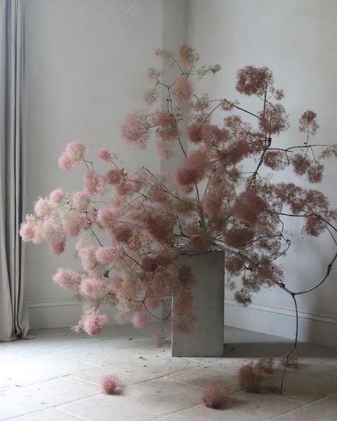 8 Abstract Floral Designers You Should Be Following Right Now ⋆ Ruffled Best Floral Arrangements, Frida Kim Flowers, Cool Floral Arrangements, Plinth Flower Arrangement, Fridakim Flowers, September Floral Arrangements, Fall Ikebana, Dry Floral Arrangements, Autumn Flower Arrangements