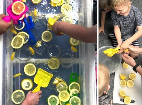 Lemon Day in School – TeachersMag.com Lemon Theme, Preschool Science Activities, Baking Soda And Lemon, Leaves Changing Color, Science Experiments For Preschoolers, Healthy Life Hacks, Ice Cream Theme, First Grade Activities, Apple Theme