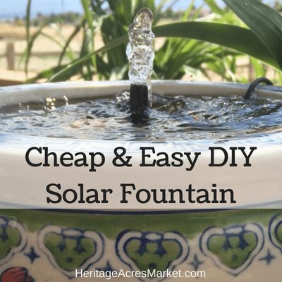 When was the last time $15 made you REALLY happy, on a daily basis, and helped you save electricity? Probably close to never. But I’m here to fix that. Check out this solar powered fountain w… Diy Solar Water Fountain, Diy Solar Fountain, Bird Fountain, Diy Water Feature, Solar Powered Fountain, Solar Water Fountain, Diy Water Fountain, Garden Water Fountains, Diy Garden Fountains