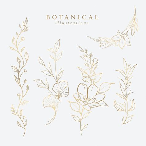 Gold Flower Drawing, Flower Vector Illustration, Gold Illustration, Botanical Line Art, Flower Line Art, Flower Background Design, Floral Line Art, Flower Line Drawings, Flower Outline