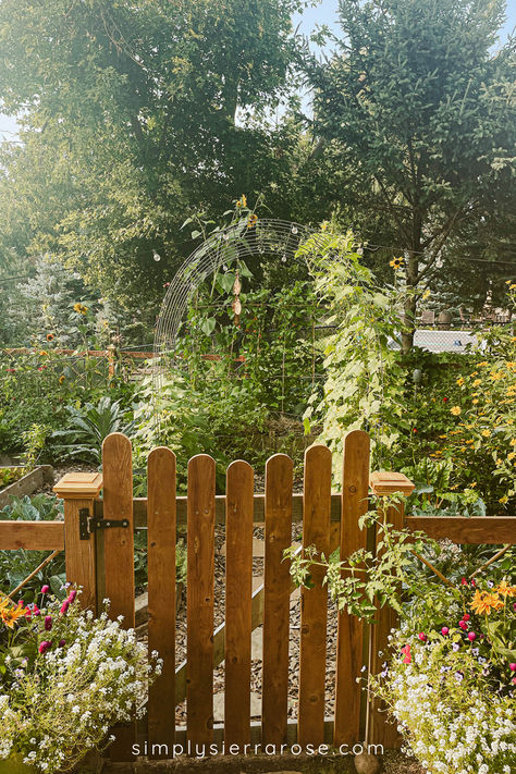 Arched garden trellises, cottage garden gates and solar string lights are my favorite part of my vegetable garden. It creates a secret garden aesthetic I just love. The 2023 garden season was finally the year I finished my wood garden fence and I'm obsessed! Here's a scrapbook of the season; best views, projects, harvests and more. Follow along with the blog for more garden inspiration. If you're anything like me you are already planning next season's veggie garden and buying seeds! Wood Garden Fence, Secret Garden Aesthetic, Garden Scrapbook, Vege Garden, Fenced Vegetable Garden, Vegetable Harvest, A Secret Garden, Wood Garden, Potager Garden