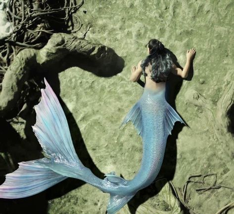 Mermaid Pose, Mermaid Stories, Dark Mermaid, Mermaid Photography, Silicone Mermaid Tails, Fantasy Mermaids, Siren Mermaid, Mermaid Drawings, Real Mermaids