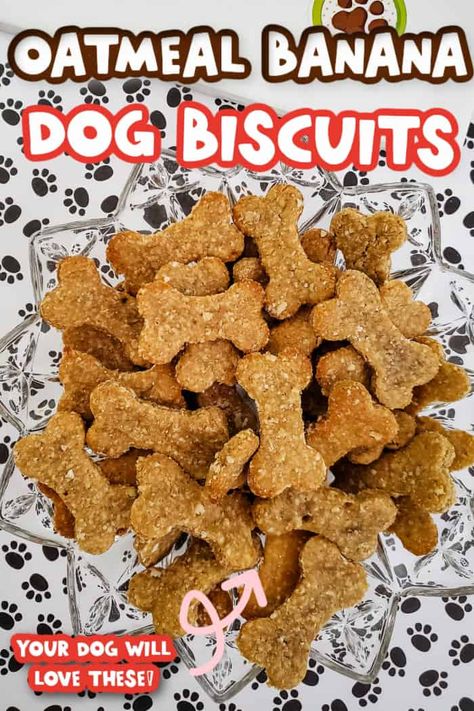 Safe Homemade Dog Treats, Banana Dog Biscuits, Banana Dog Treat Recipe, Banana Dog Treats, Pup Treats, Treat Business, The Best Oatmeal, Pet Treats Recipes, Puppy Girl