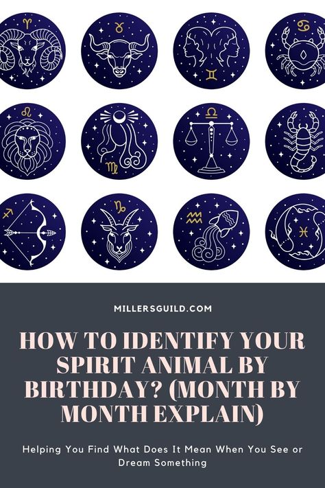 How to Identify Your Spirit Animal by Birthday? (Month by Month Explain) Birth Symbols, Birth Animal, Month Animals, Magic Quotes, Animal Symbolism, Your Spirit Animal, Spirit Animals, Pet Signs, Sister Tattoos