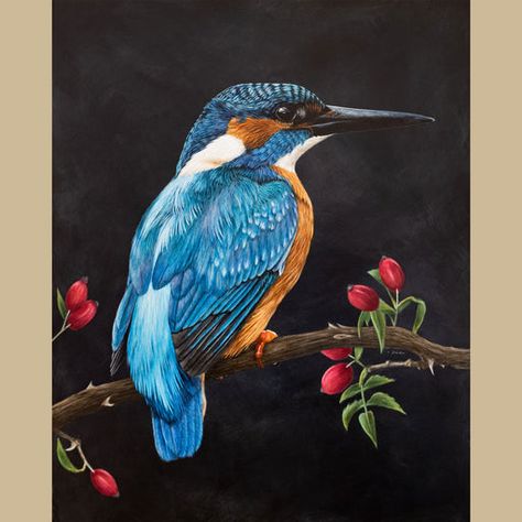 Kingfisher Painting Acrylics, Wildlife Paintings Acrylics, Easy Bird Painting Acrylics, Kingfisher Bird Painting, Acrylic Painting Birds, Birds Acrylic Painting, Bird Acrylic Painting, Sparrow Drawing, Kingfisher Painting