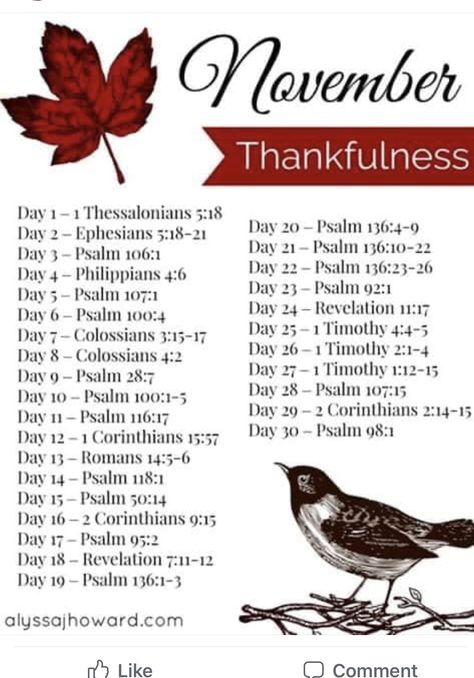 November Bible Reading Plan, November Thanksgiving, Scripture Writing Plans, Writing Plan, Bible Study Plans, Bible Plan, Ayat Alkitab, Bible Study Verses, Scripture Reading