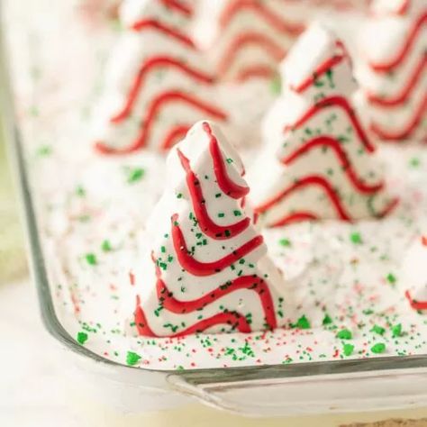 Christmas Dirt Cake, Dirt Cake Recipe, Little Debbie Snack Cakes, Oreo Dirt Cake, Christmas Tree Desserts, Dirt Cake Recipes, Tree Cupcakes, Dessert Dip, Christmas Snack