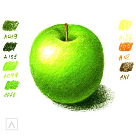 How to Color Realistically With Colored Pencils | ARTEZA How To Colour Drawing, Things To Draw Colour, Color Pencil Reference, Fruit Drawing Pencil Color, Sketch With Color Pencil, How To Color Realistically, Realistic Fruit Drawing Colored Pencils, Coloured Drawing Ideas, Drawing With Colored Pencils Ideas