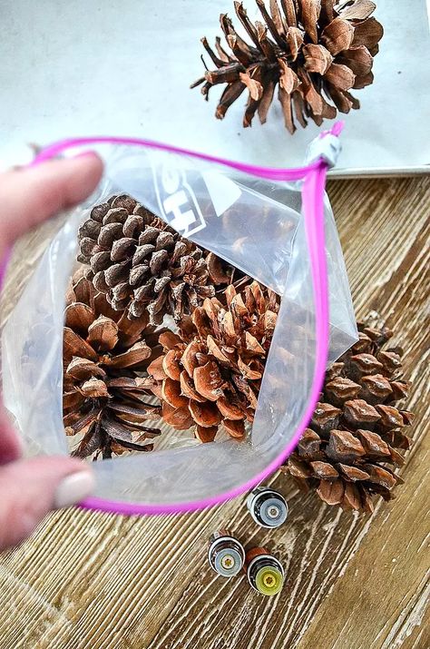 Scented Pinecones, Pinecone Crafts Christmas, Pine Cone Art, Sweet Gum, Diy Pinecone, Pinecone Ornaments, Pine Cone Decorations, Cones Crafts, 12 December