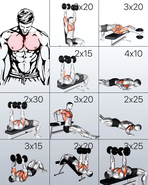 Dumbbell Chest Workout At Home, Chest Workouts For Men, Chest Workout At Home, Chest Workout For Men, Chest Workout Routine, Workout Gym Routine, Gym Workout Guide, Latihan Dada, Workout Program Gym