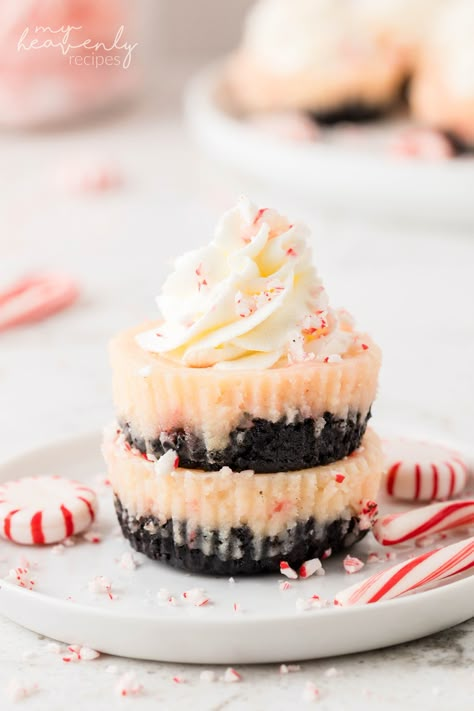 Candy Cane Mini Cheesecakes, Mini Candy Cane Cheesecake, Peppermint Bark Mini Cheesecakes, Christmas Cheesecake Cupcakes, Oreo Peppermint Cheesecake Bites, Christmas Cheesecake Mini, Mini Holiday Cheesecakes, Peppermint Cheesecake Bites, Cheesecake Bites Christmas