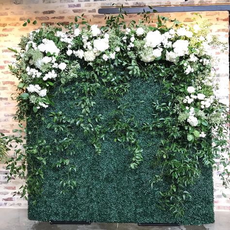 Luxury Weddings - Flower Shack Blooms | Flower Shack Blooms Wedding Backdrop Wall, Boxwood Backdrop, Simple Beach Wedding Ideas, Flower Backdrop Wedding, Simple Beach Wedding, Flower Wall Wedding, Flower Walls, Backdrop Wall, Flower Wall Backdrop