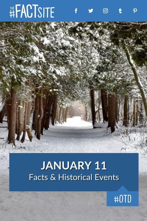 Did you know that on this day, January 11, 1787, Sir William Herschel discovered the first two moons of Uranus? Today is known as Milk Day, and was the day Mary J. Blige was born. If January 11 is a special day for you or a loved one then you're in the right place as we've selected some of the top historical events, facts and figures that we could lay our hands on. #TheFactSite #OnThisDay #January11 #TodayInHistory #TodayFacts #OTD #MilkDay Cream Cheese Brownie, Samuel Morse, Jewish Person, Sir William, The Pretenders, Saint Kitts And Nevis, Learn Facts, Friends Day, Today In History