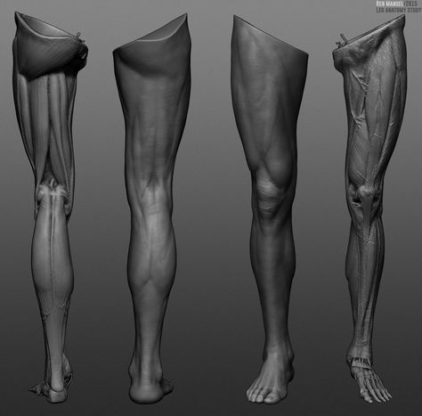 https://www.artstation.com/artwork/2LkVK Zbrush Anatomy, Leg Reference, 남성 근육, Leg Anatomy, Human Muscle Anatomy, Human Legs, Drawing Legs, Man Anatomy, Anatomy Sculpture