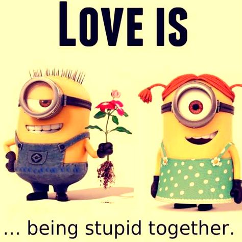 Minion Love Quotes, Cute Minion Quotes, Minions Humor, Funny Minion Memes, Minion Jokes, Minions Love, Cute Minions, Minions Despicable Me, Love Quotes Funny