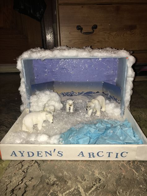 Arctic Diorama ❄️ Polar Bear Diorama, Bear Diorama, Polar Bear Diy, Polar Bear Habitat, Penguins Project, Arctic Habitat, Biomes Project, Diorama Kids, Ecosystems Projects