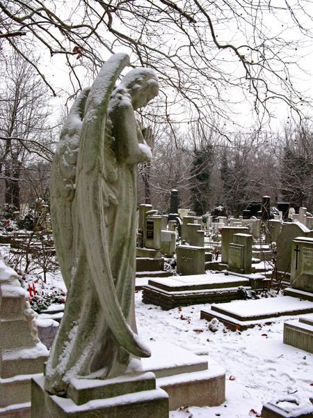 Spooky Winter, Cemetery Angels, Cemetery Statues, Snowflakes Falling, Gothic Castle, Angel Sculpture, Snow Art, Snow Angel, Cemetery Art