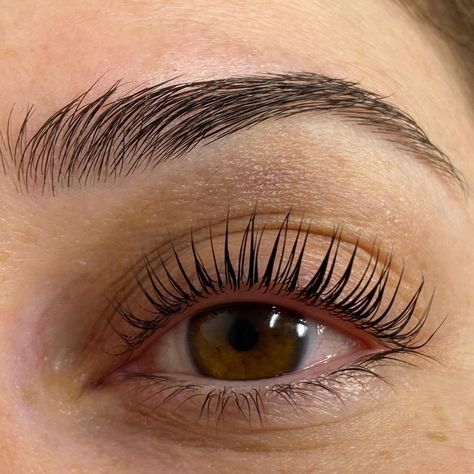 Lash Lifts And Tint, Lash Lift Aesthetic, Eye Lash Lift, Lashes Lift, Lift Lashes, Lashes And Eyebrows, Eyelash Lift And Tint, Lash Lift And Tint, Brows And Lashes