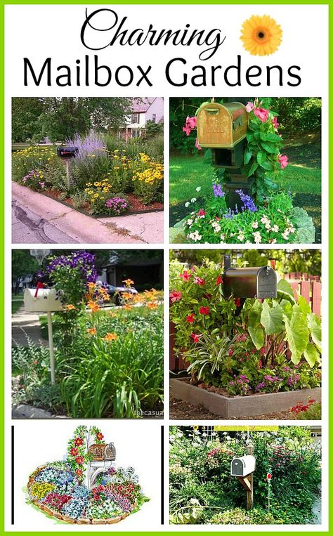 Mailbox Border Ideas, Flower Box Around Mailbox Ideas, Plants For Mailbox Area, Mailbox Ideas Curb Appeal Landscaping, Plants By Mailbox Curb Appeal, Planting Around Mail Boxes, Plants Around Mailbox Curb Appeal, Mail Box Landscaping Curb Appeal, Mailbox For Garden Tools