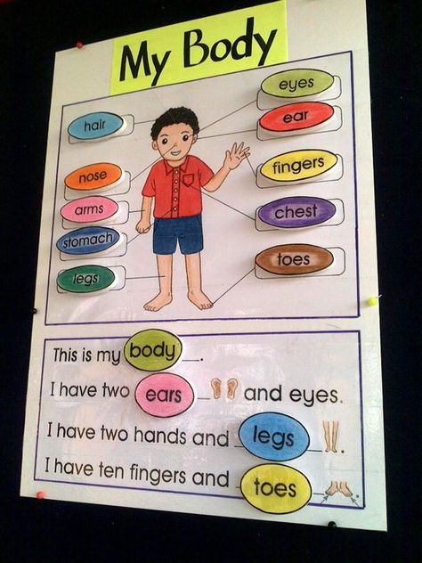 KIDDOS CRAFTS: Teaching Aids - Body Parts Childminding Activities, Vocabulary Ideas, Kertas Kerja Prasekolah, Body Parts For Kids, Peraturan Kelas, July Activities, Body Preschool, Body Parts Preschool, Materi Bahasa Inggris