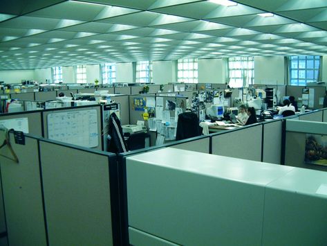 Office With Cubicles, Korn Ferry, Noah Gonzalez, Cerulean Sea, Office Shoe, Cubicle Office, Cubicle Design, Tiger Style, Work Cubicle