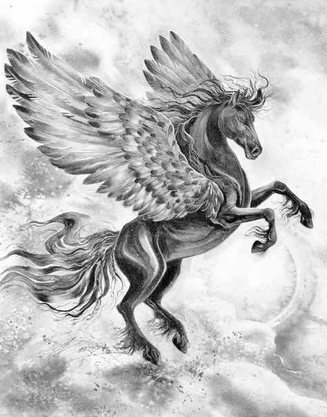 Black and Gray Pegasus. Pegasus Tattoo Men, Black Pegasus Tattoo, Pegasus Tattoo Women, Pegasus Tattoo Design, Pegasus Tattoo Mythology, Dark Pegasus Tattoo, Pegasus Drawing, Pegasus Lineart, Pegasus Tattoo