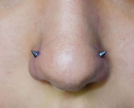 Spiky Piercing, All 3 Nose Piercings, Nose Double Piercing, Interesting Piercings, Cool Nostril Piercings, Extreme Piercings, Body Mods Piercing, Pirsing Ideas, Side Nose Piercing