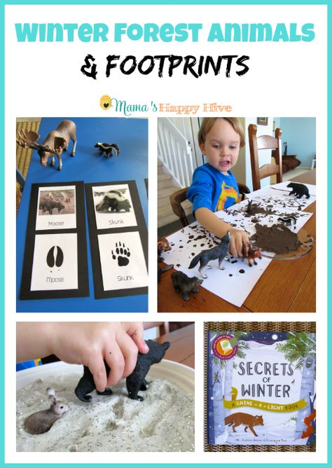 Winter is a great time to teach preschoolers all about winter animals and footprints! Check out these fun ideas here! Animals Footprints, Polar Bear Unit, Winter Forest Animals, Muddy Footprints, Snow Dough, January Preschool, Gruffalo's Child, Montessori Printables, Forest School Activities