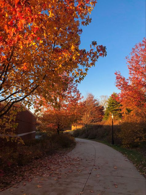 Fall leaves at the university of rhode island University Of Rhode Island Aesthetic, Rhode Island Fall, Rhode Island Aesthetic, Autumn Ambience, University Of Rhode Island, College List, Dorm Inspo, College Aesthetic, Dream School