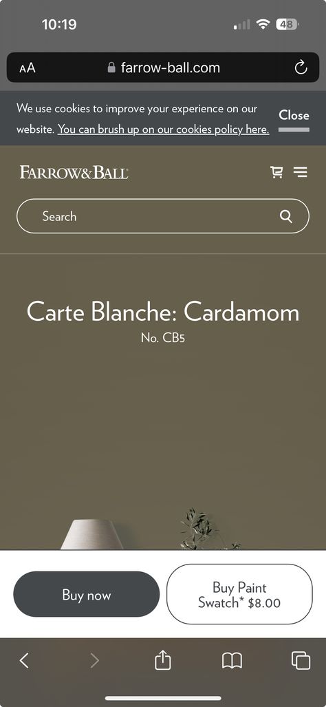 Cardamom Farrow And Ball, Farrow And Ball Cardamom, Color Palette Interior Design, Farrow And Ball, Paint Colour, Paint Colours, Farrow Ball, Powder Room, Paint Colors