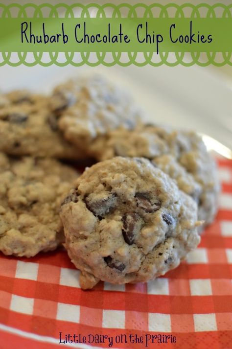 Rhubarb Chocolate Chip and Oatmeal Cookies Rhubarb Oatmeal, Rhubarb Cookies, Lemon Biscuits, Mix Chocolate, Rhubarb Desserts, Rhubarb Recipes, Easy Homemade Recipes, Lemon Cookies, Easy Cookie Recipes