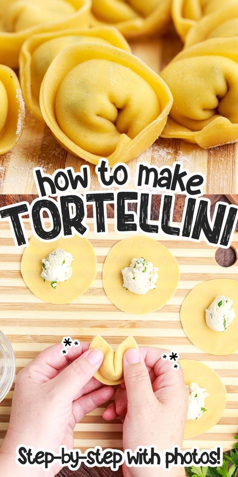 Learn how to make tortellini pasta filled with cheese from scratch to serve with your favorite meat, alfredo, marinara, or pesto sauce! Tortellini Homemade How To Make, Homemade Pasta Shells, How To Cook Tortellini Pasta, Diy Tortellini, How To Make Tortellini Pasta, Tortellini Filling Recipe, Making Tortellini, Tortellini Homemade, Kitchen Aid Pasta