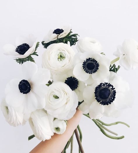 Fanny Staaf Events on Instagram: “Why get married in winter you ask? Well.... 😍⁠ .⁠ #bestflowerseason #ranunculus #anemones #weddingplanner #bröllopskoordinator…” Anemone And Ranunculus Bouquet, White Anemone Centerpiece, White Ranunculus Bouquet, Anemone Flower Bouquet, Ranunculus Wedding, Winter Bridal Bouquets, Ranunculus Bouquet, Anemone Bouquet, White Ranunculus