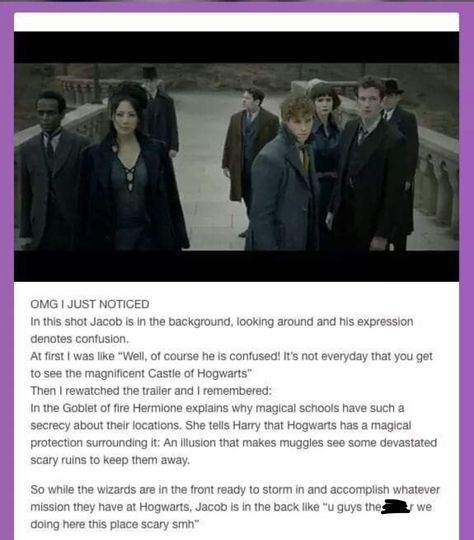 Fantastic Beasts - Hogwarts Movies Ideas, Fantastic Beasts Fanart, Facts Of Life, About Harry Potter, Fantastic Beast, Newt Scamander, Harry Potter Headcannons, Fantastic Beasts And Where, Harry Potter Jokes