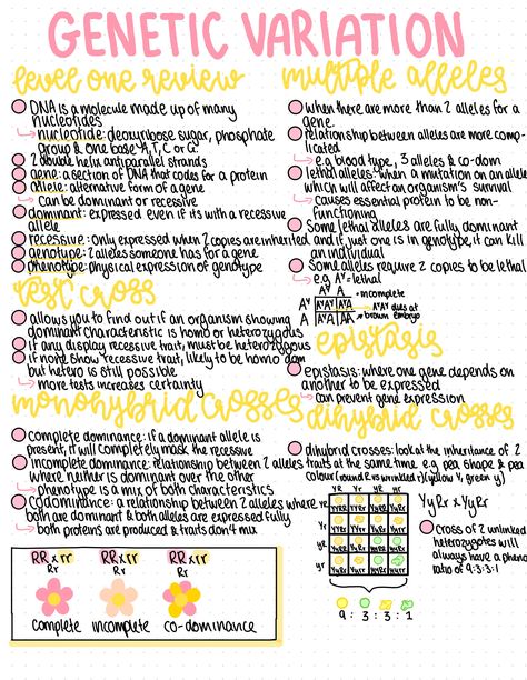 Made on Ipad Pro x Variation Biology Notes, Genetics Notes Biology, Genetics Notes, Notes Biology, Gcse Science Revision, Gcse Biology, Biochemistry Notes, Bio Notes, Biology College