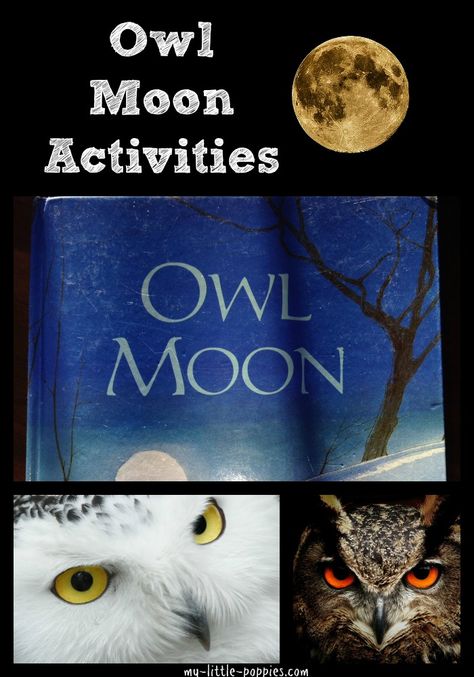 Owl Moon by Jane Yolen Owl Moon Art, Draw An Owl, Moon Activities, Jane Yolen, Owl Moon, Alphabet Sounds, Preschool Language, Winter Reads, Five In A Row