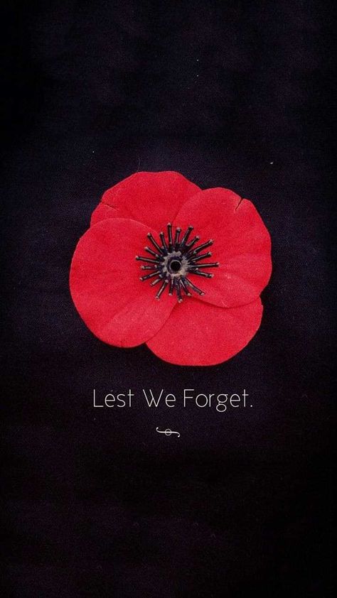 Remembrance Day Phone Wallpaper, Remembrance Day Screen Saver, Poppies Memorial Day, Remembrance Day Wallpaper Iphone, Remembrance Day Backgrounds, Less We Forget Remembrance Day, Remembrance Day Poppies, Remembrance Day Art Lest We Forget, Poppy Wallpaper Iphone