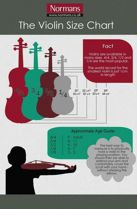 Violin Sizes, Orchestra Classroom, Violin Teaching, Learn Violin, Violin Lessons, Violin Sheet, Violin Sheet Music, Music Ed, The Violin