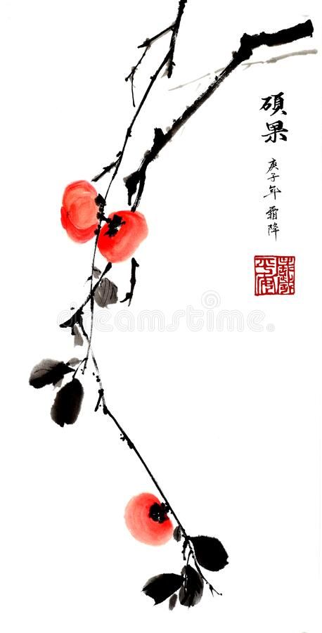 Chinese traditional distinguished gorgeous decorative hand-painted ink-Persimmon vector illustration Chinese Painting Traditional, Japanese Ink Painting, Chinese Drawings, China Ink, Traditional Chinese Art, Chinese Artwork, Sumi E Painting, Japan Painting, Japanese Watercolor